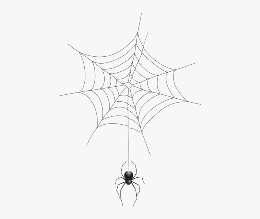 Detail Spider Transparent Background Nomer 32