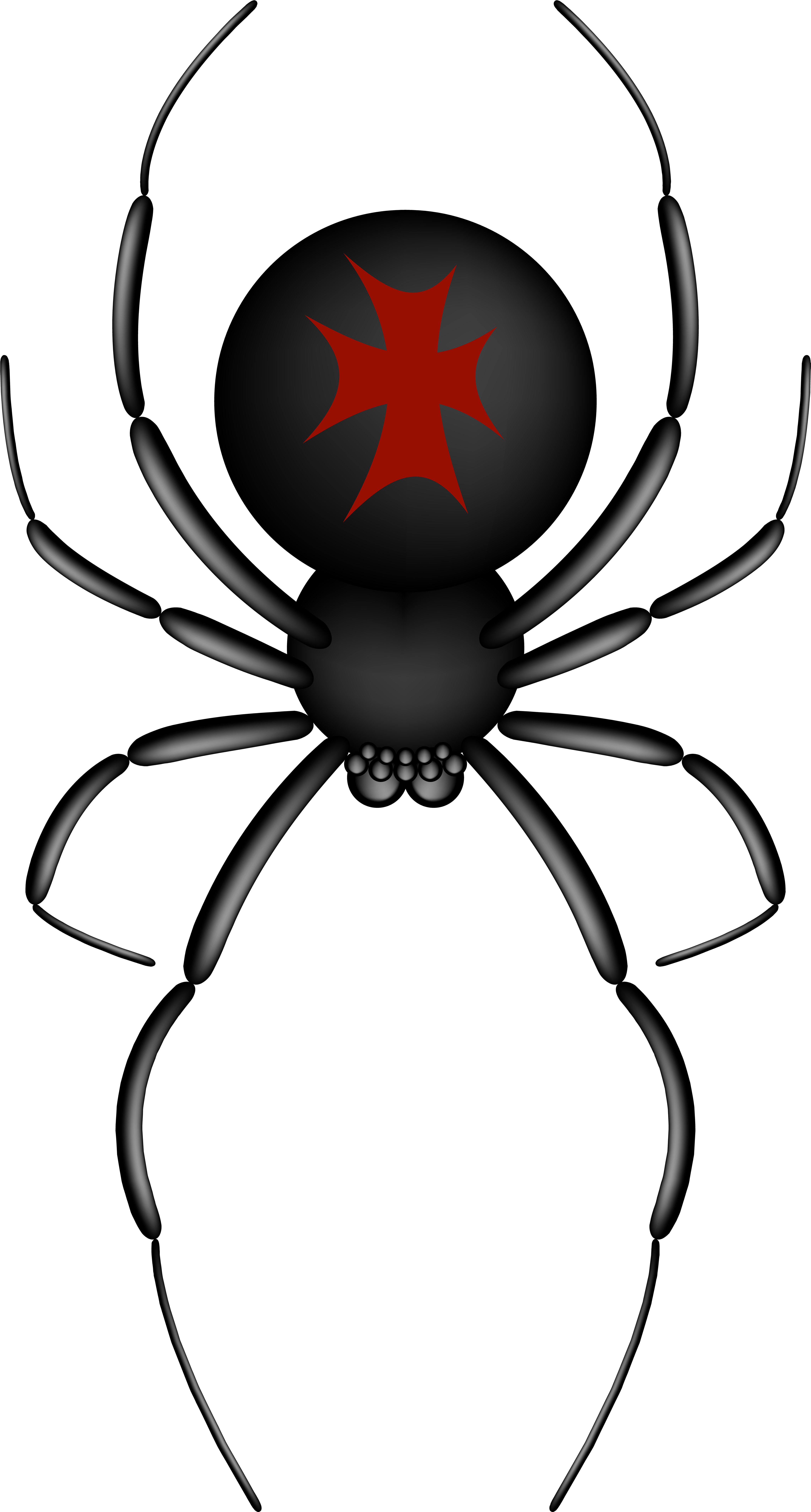 Detail Spider Transparent Background Nomer 40