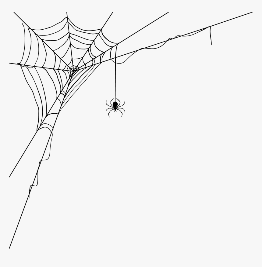 Detail Spider Transparent Background Nomer 45