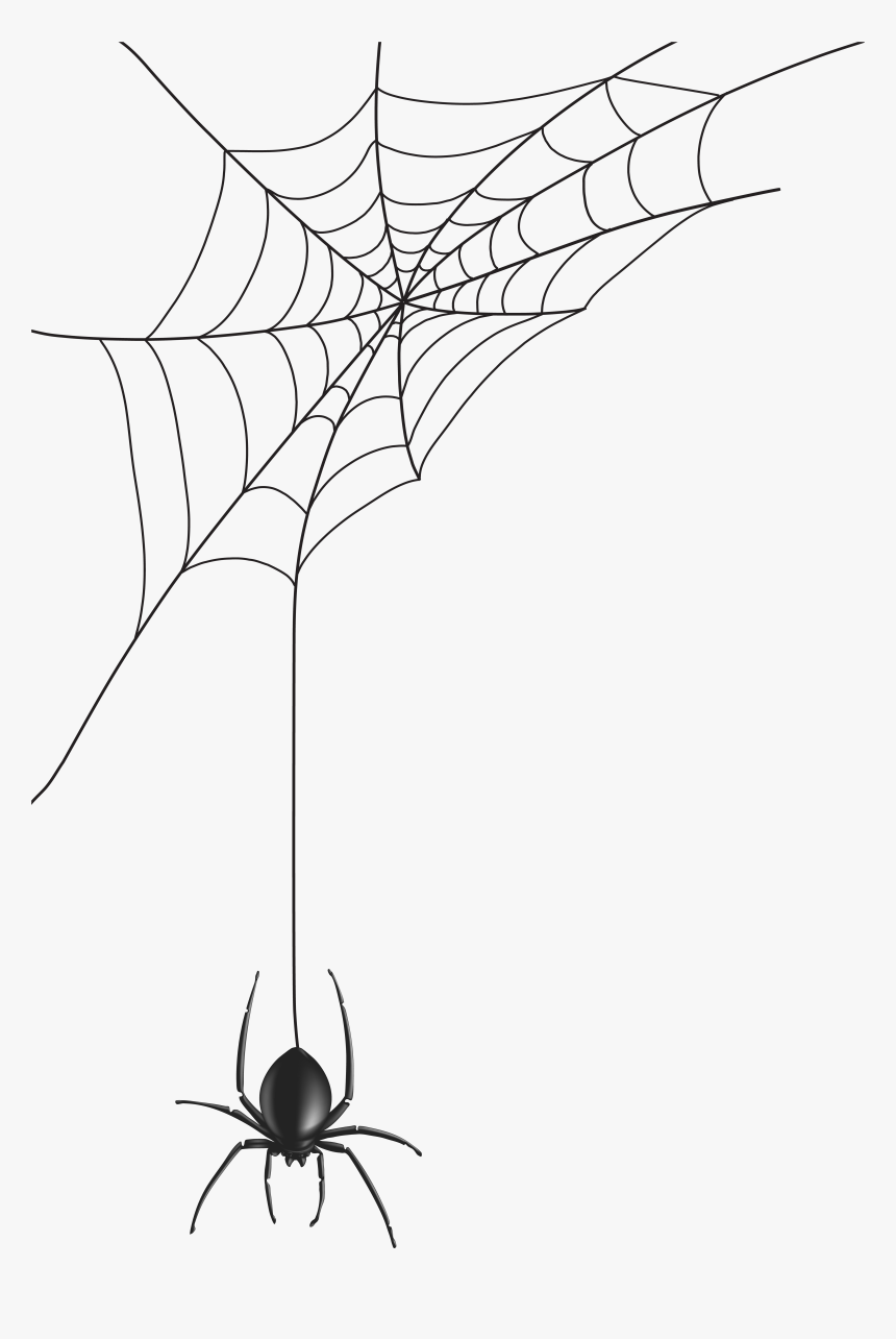 Detail Spider Transparent Background Nomer 46
