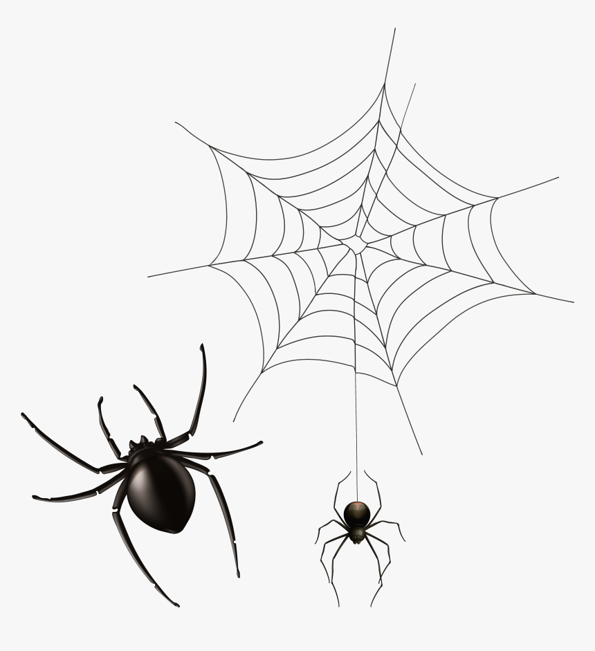 Detail Spider Transparent Background Nomer 48
