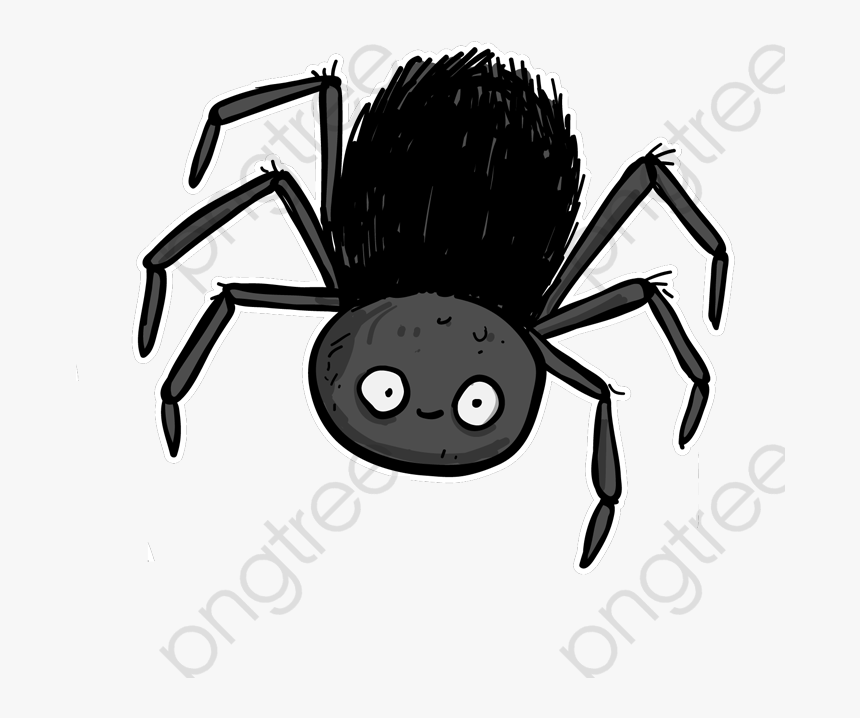 Detail Spider Transparent Background Nomer 55