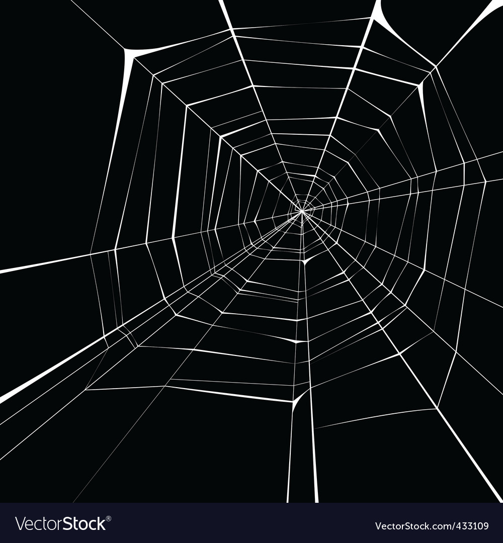 Spider Web Background Images - KibrisPDR