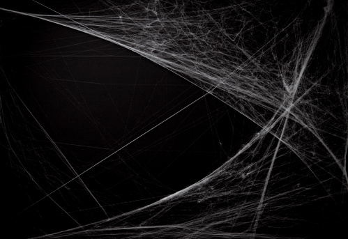 Detail Spider Web Background Images Nomer 2