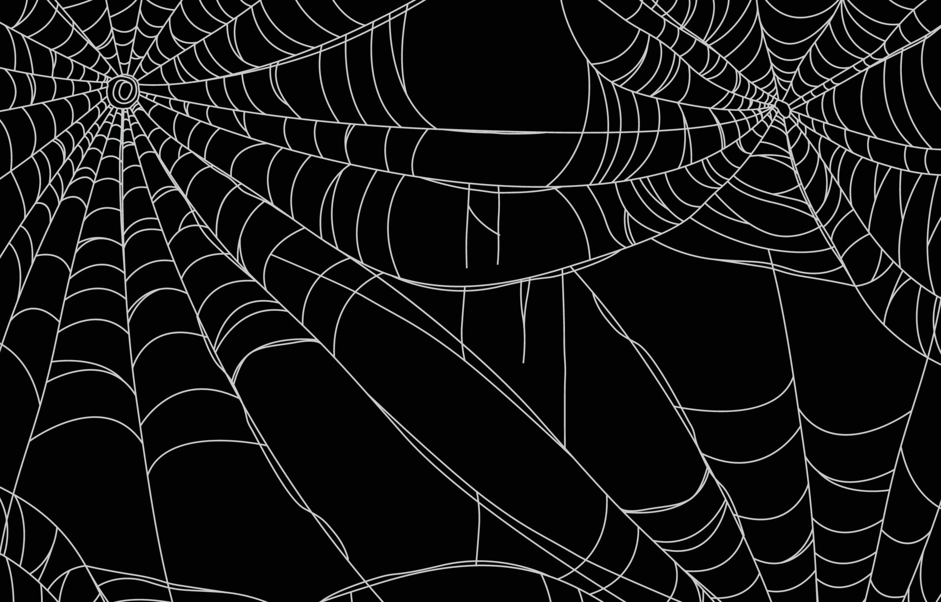 Detail Spider Web Background Images Nomer 11