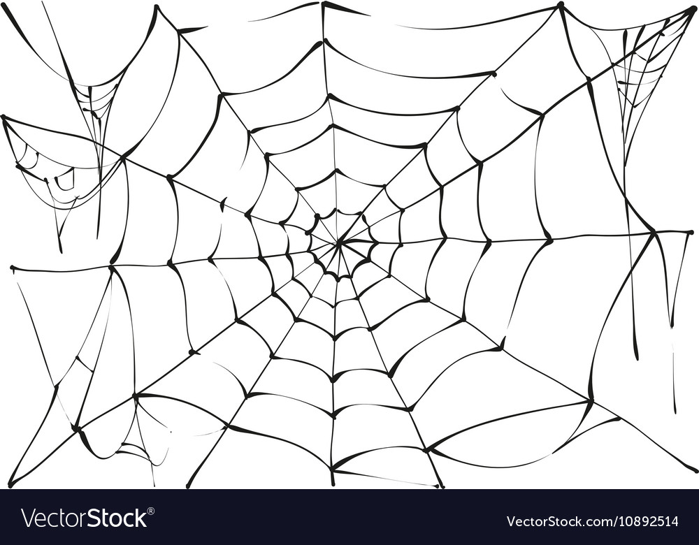 Detail Spider Web Background Images Nomer 16