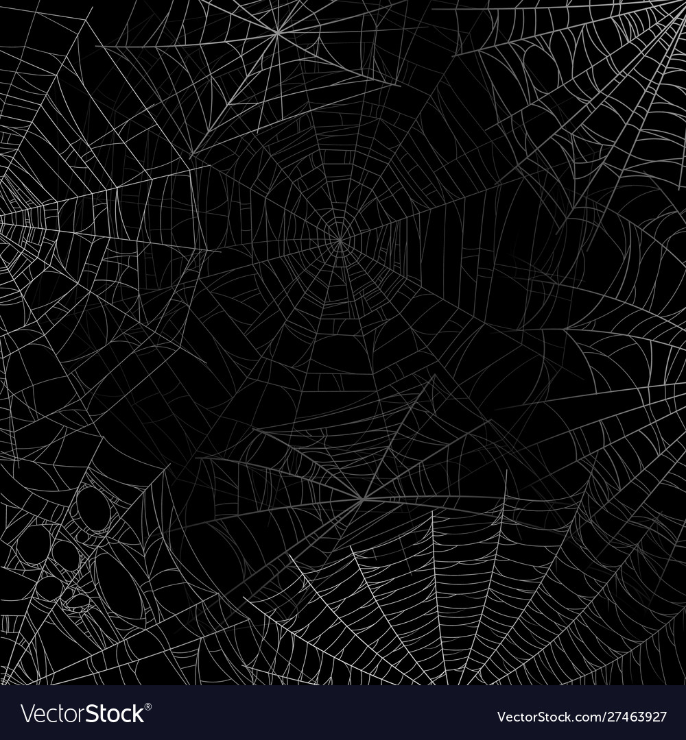 Detail Spider Web Background Images Nomer 3