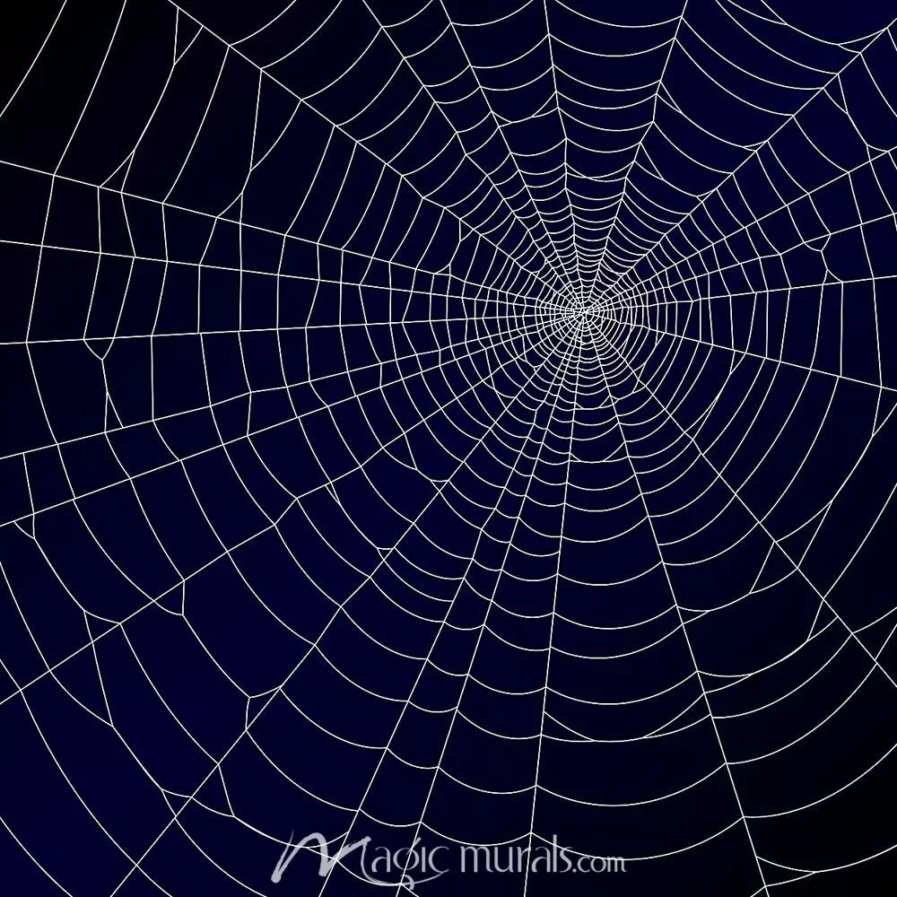 Detail Spider Web Background Images Nomer 20