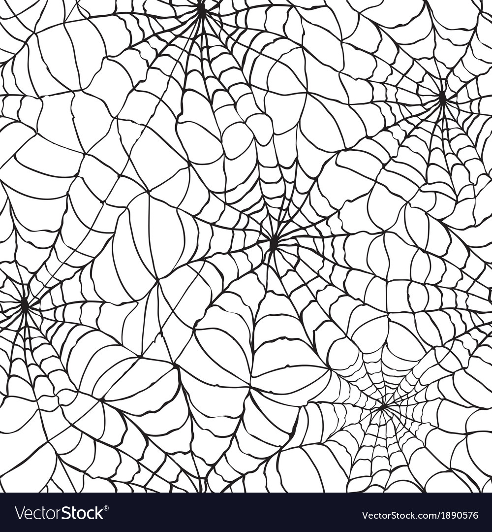 Detail Spider Web Background Images Nomer 22