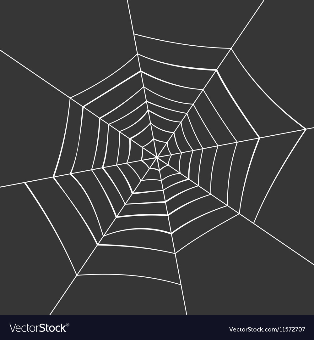 Detail Spider Web Background Images Nomer 24