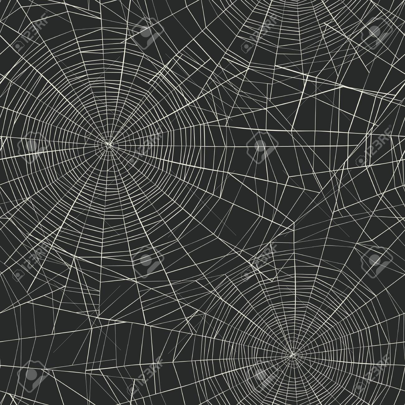 Detail Spider Web Background Images Nomer 26