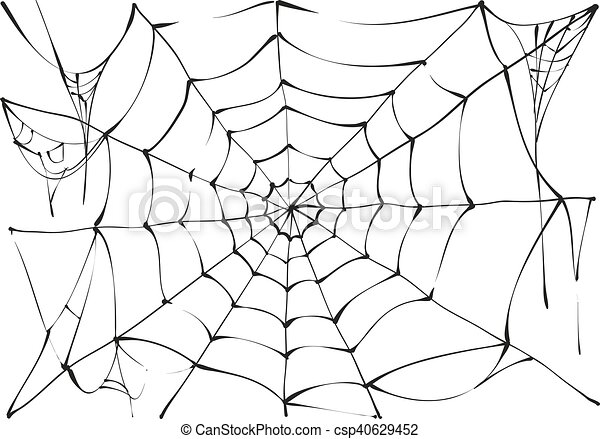 Detail Spider Web Background Images Nomer 29