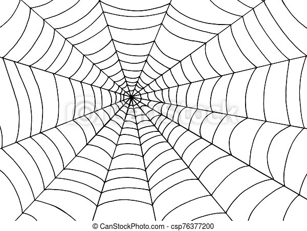 Detail Spider Web Background Images Nomer 30