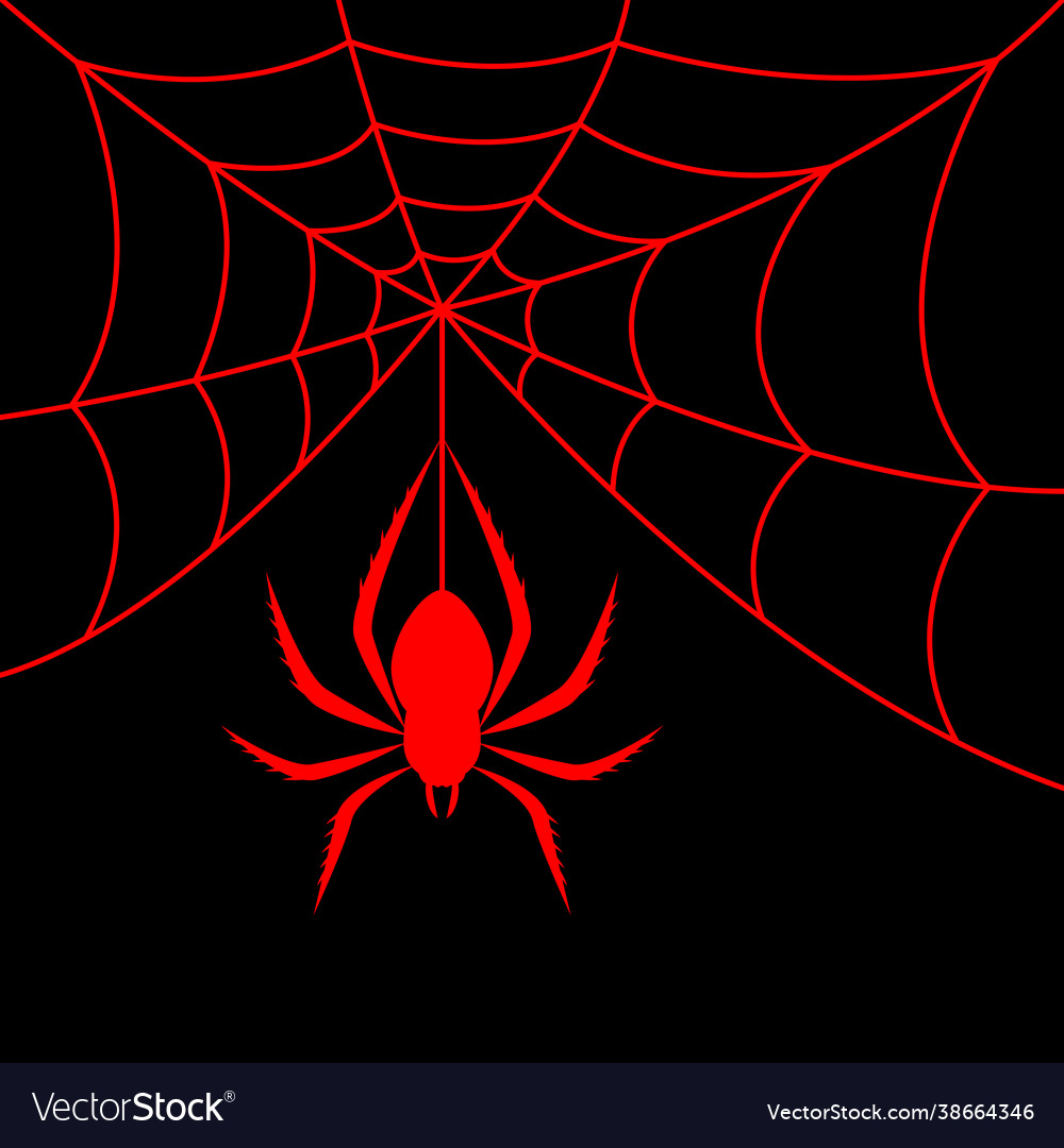 Detail Spider Web Background Images Nomer 33