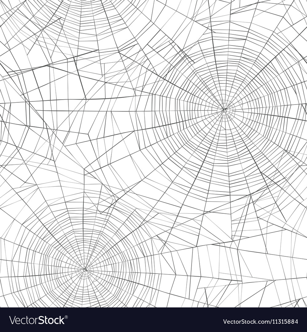 Detail Spider Web Background Images Nomer 34