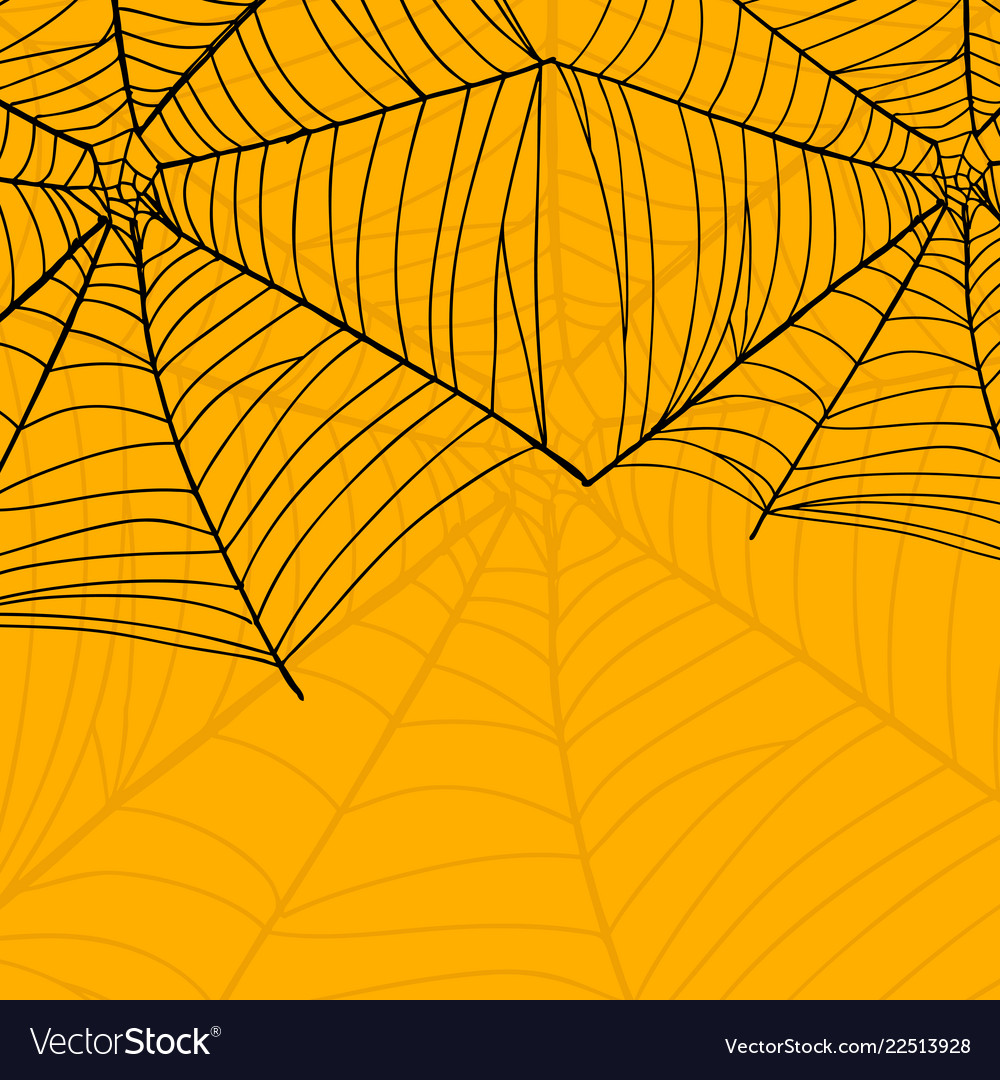 Detail Spider Web Background Images Nomer 40