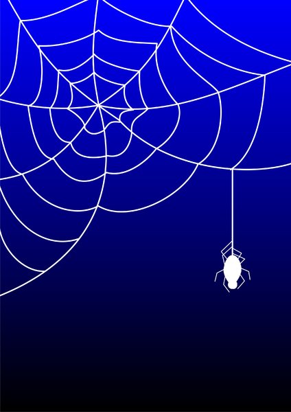 Detail Spider Web Background Images Nomer 43