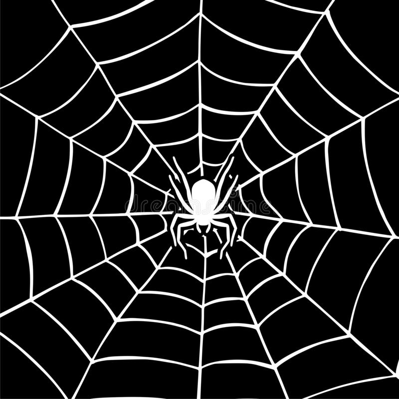 Detail Spider Web Background Images Nomer 6