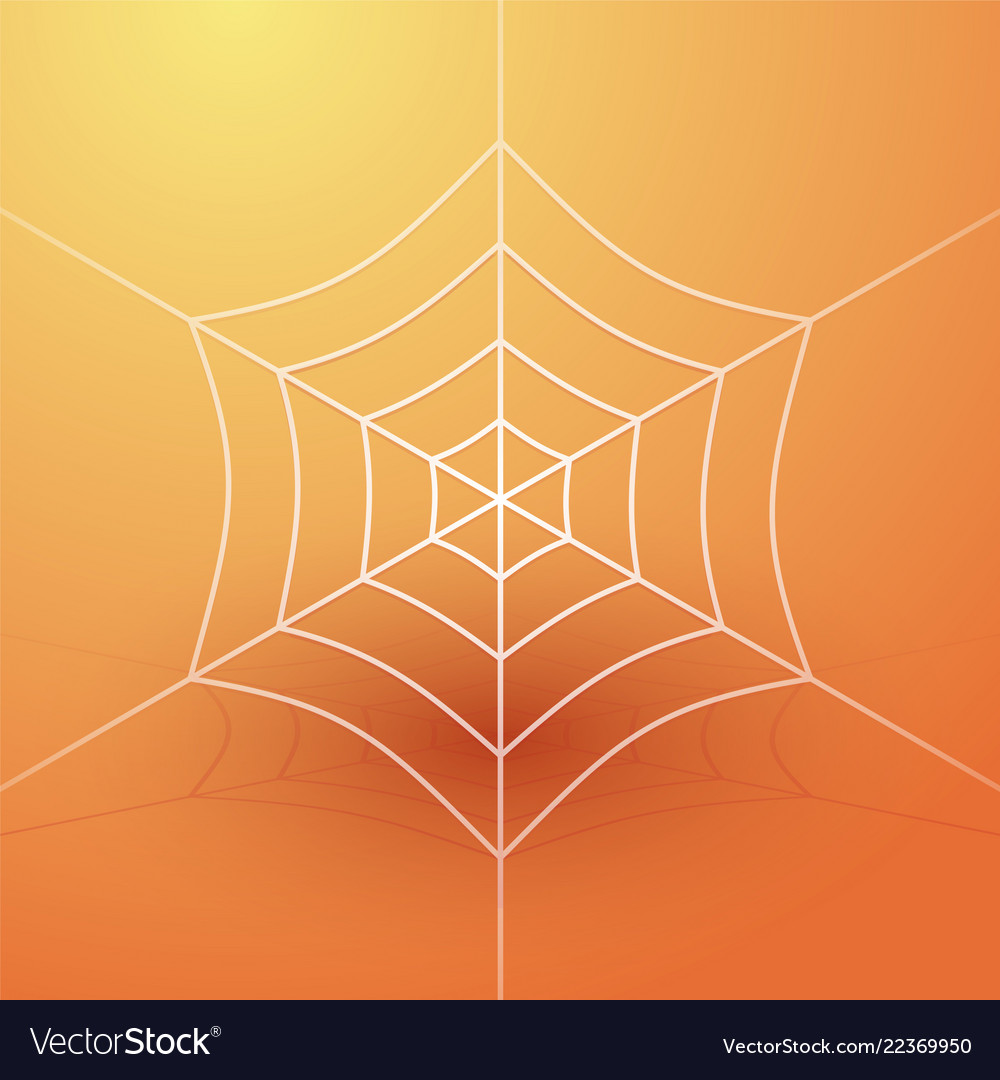 Detail Spider Web Background Images Nomer 45