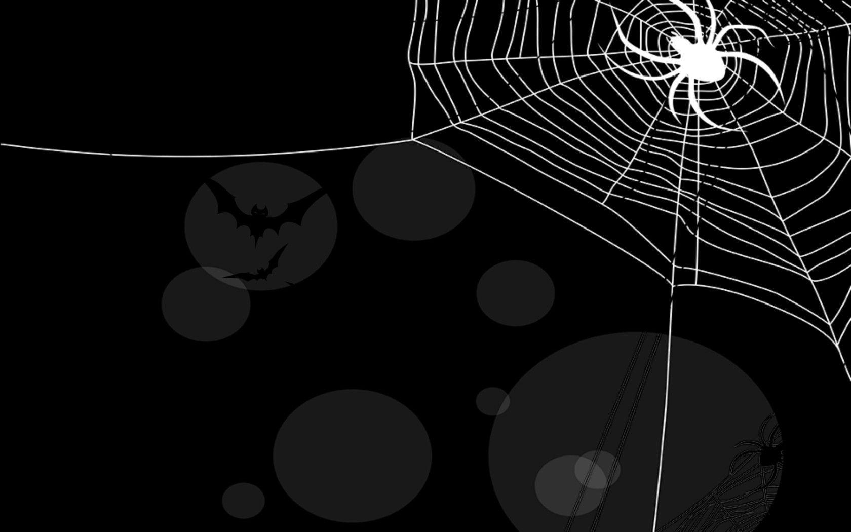 Detail Spider Web Background Images Nomer 50