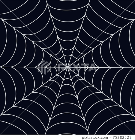Detail Spider Web Background Images Nomer 51