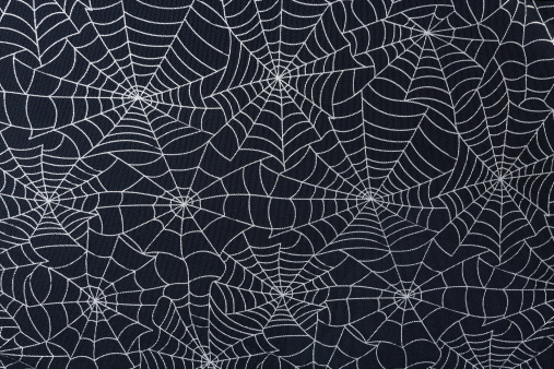 Detail Spider Web Background Images Nomer 52