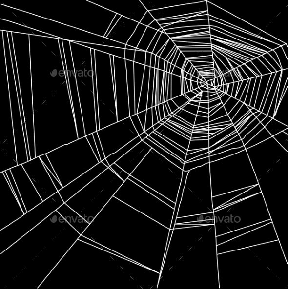 Detail Spider Web Background Images Nomer 8