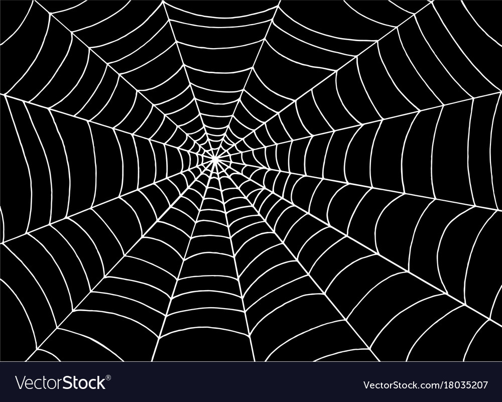 Detail Spider Web Background Images Nomer 10