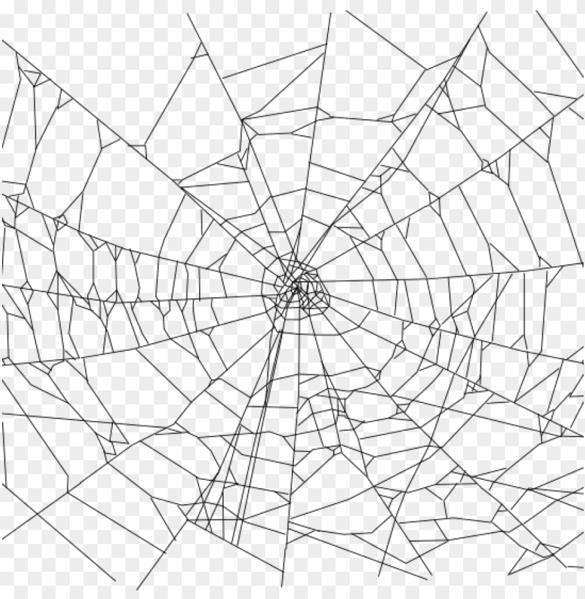 Detail Spider Web Clipart Transparent Nomer 13