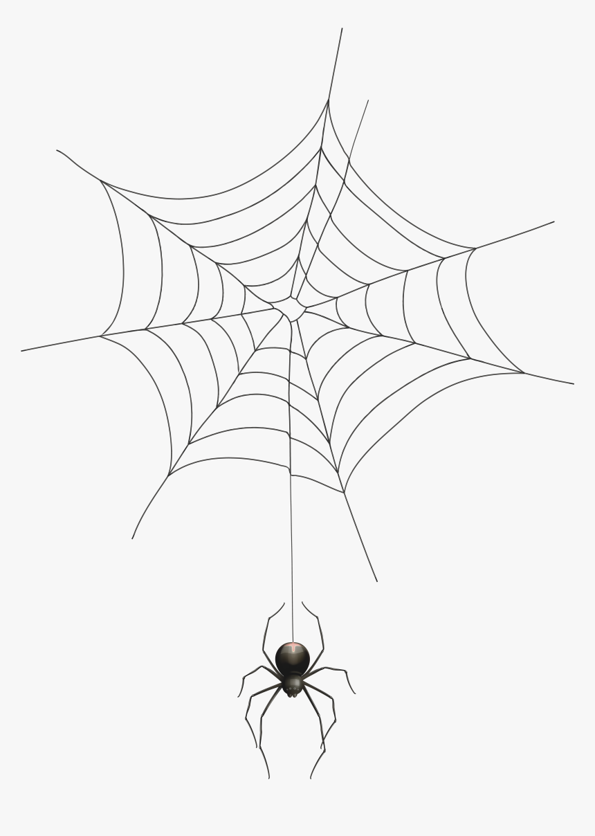 Detail Spider Web Clipart Transparent Nomer 15
