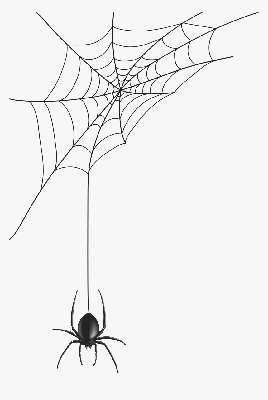 Detail Spider Web Clipart Transparent Nomer 21