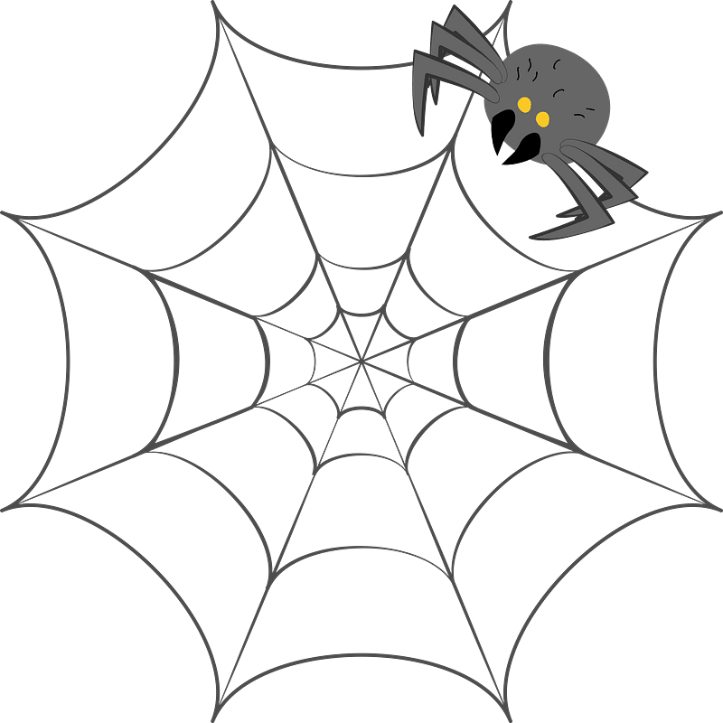 Detail Spider Web Clipart Transparent Nomer 41