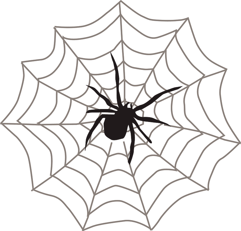 Detail Spider Web Clipart Transparent Nomer 43