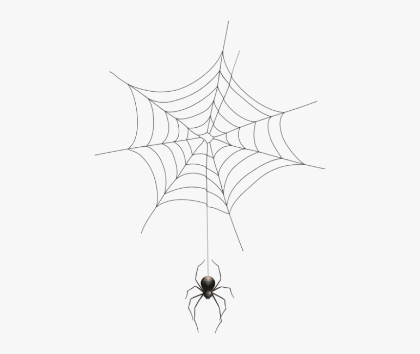 Detail Spider Web Png Transparent Background Nomer 9