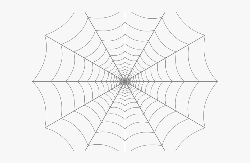 Detail Spider Web Png Transparent Background Nomer 10