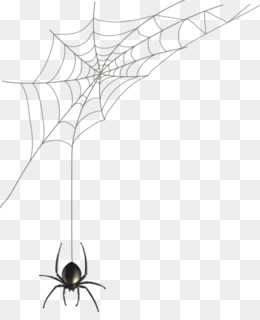 Detail Spider Web Png Transparent Background Nomer 14
