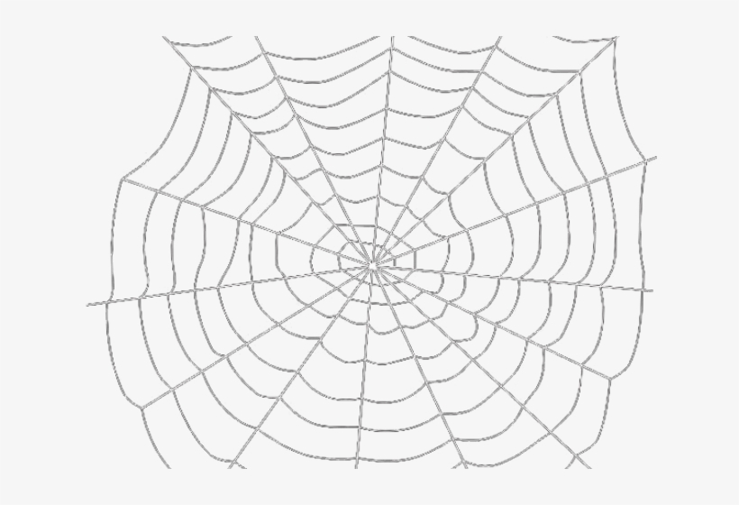 Detail Spider Web Png Transparent Background Nomer 16