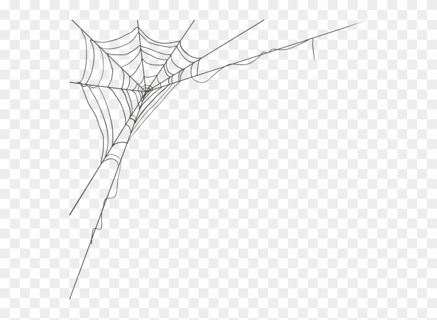 Detail Spider Web Png Transparent Background Nomer 22