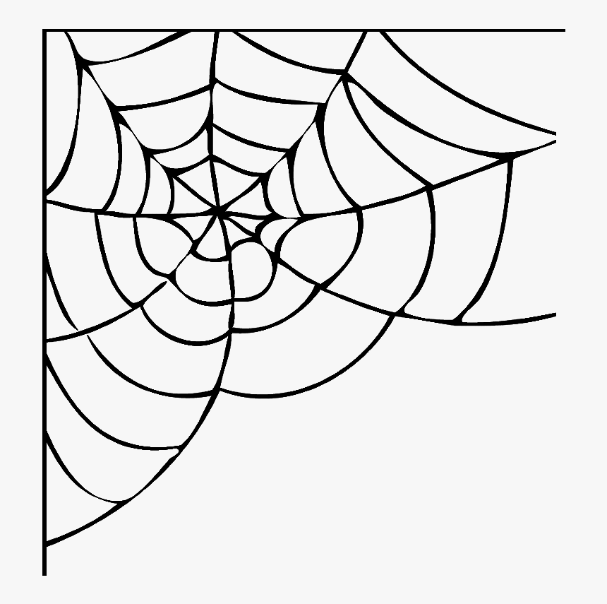 Detail Spider Web Png Transparent Background Nomer 25