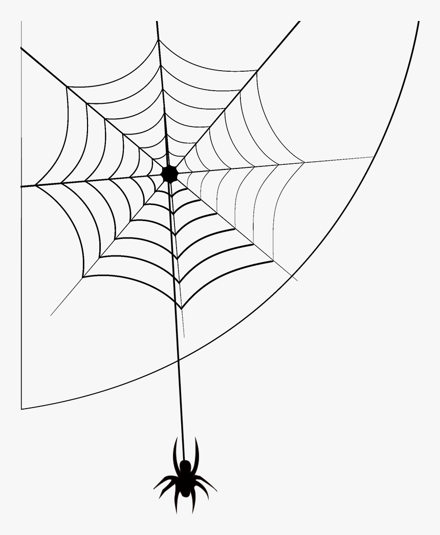 Detail Spider Web Png Transparent Background Nomer 28