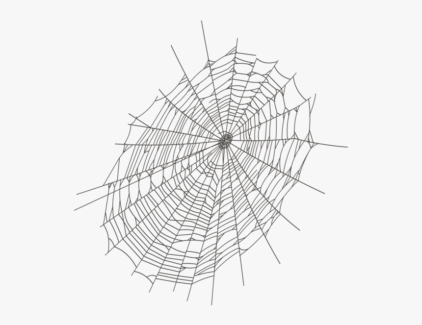 Detail Spider Web Png Transparent Background Nomer 31