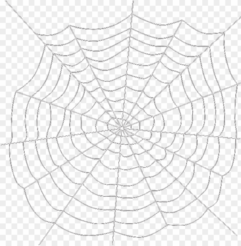 Detail Spider Web Png Transparent Background Nomer 5