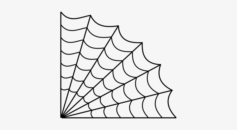 Detail Spider Web Png Transparent Background Nomer 37