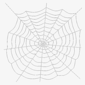 Detail Spider Web Png Transparent Background Nomer 44