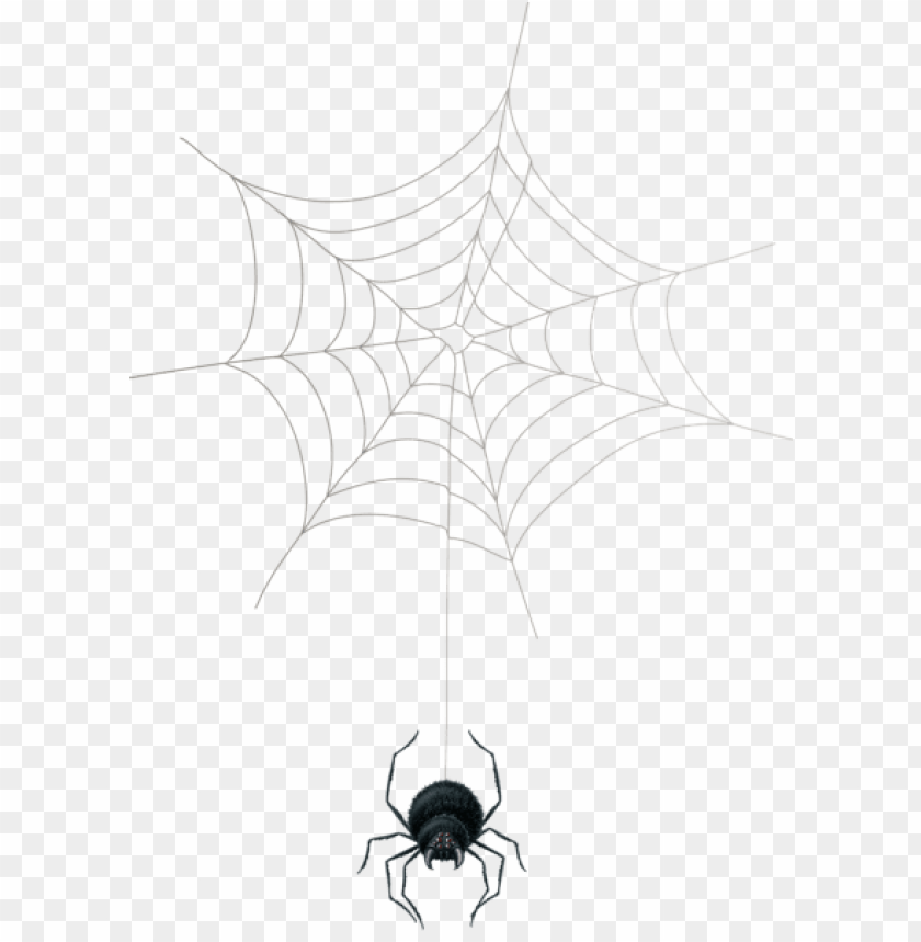 Detail Spider Web Png Transparent Background Nomer 49