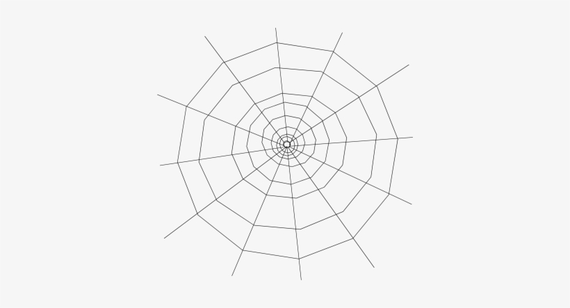 Detail Spider Web Png Transparent Background Nomer 50