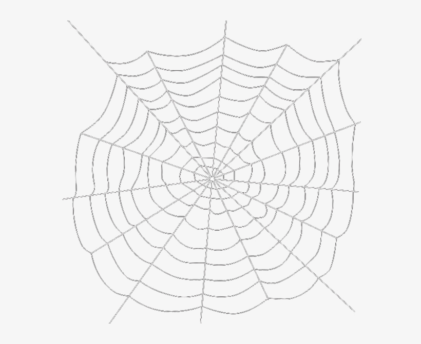 Detail Spider Web Png Transparent Background Nomer 7