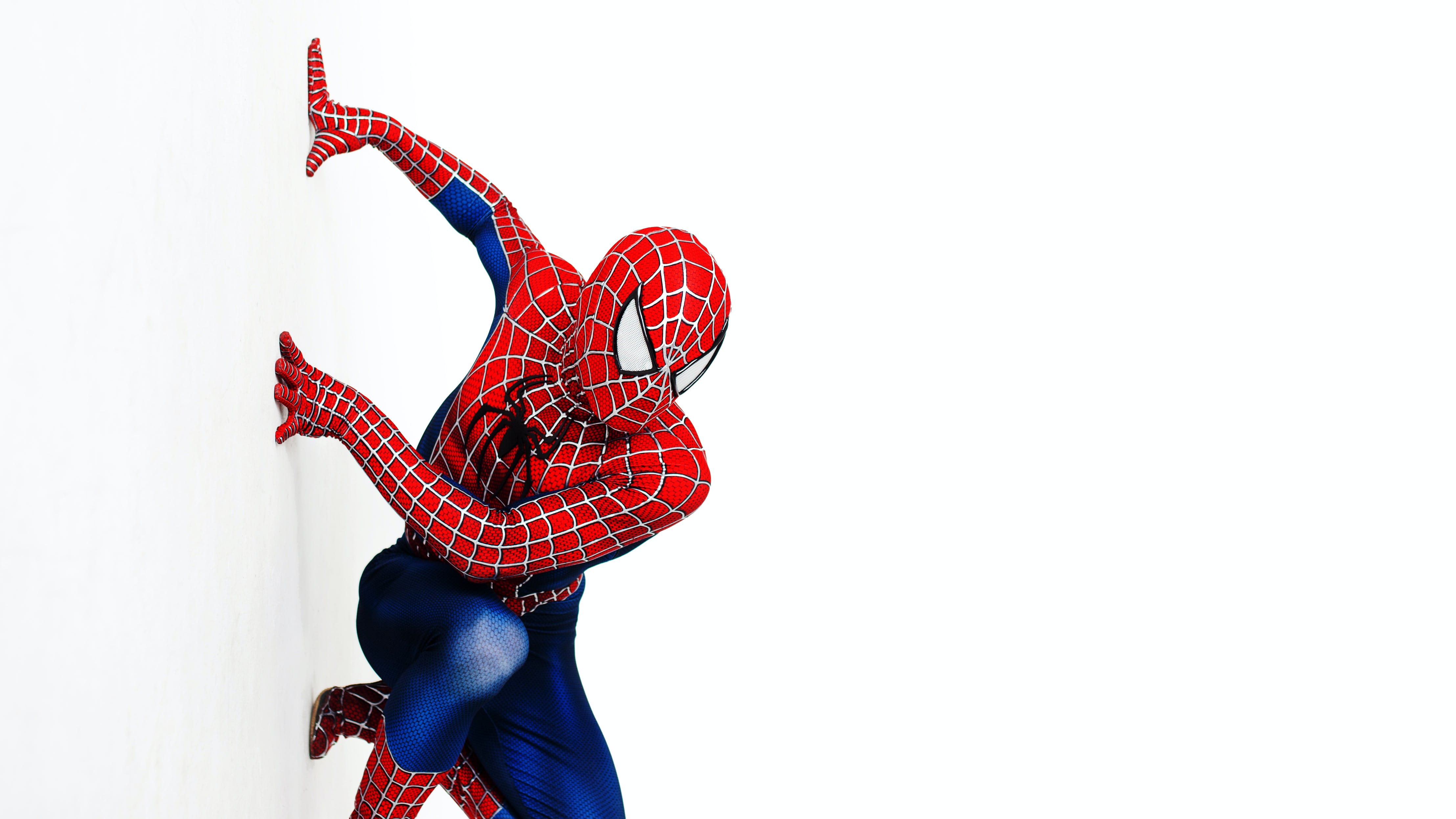 Detail Spiderman Bergerak Nomer 12