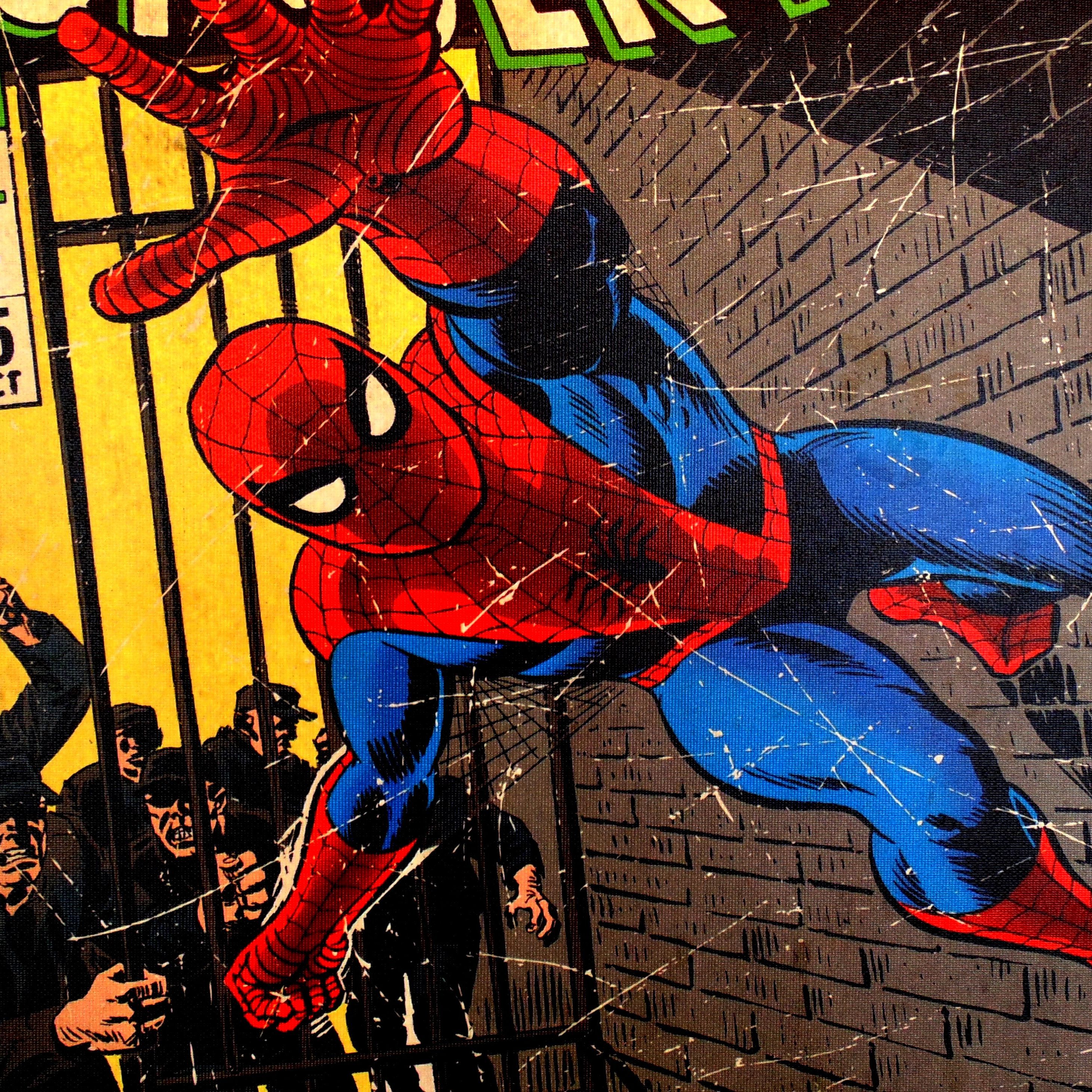 Detail Spiderman Cartoon Images Nomer 34