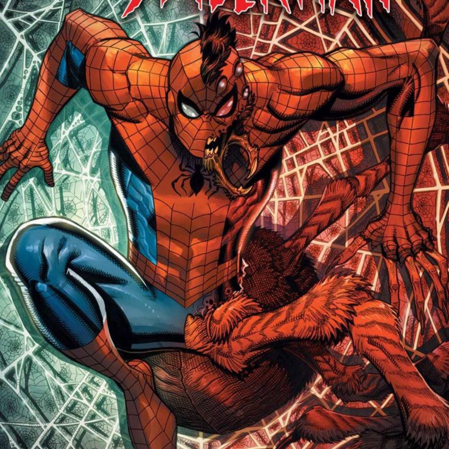 Detail Spiderman Cartoon Images Nomer 44